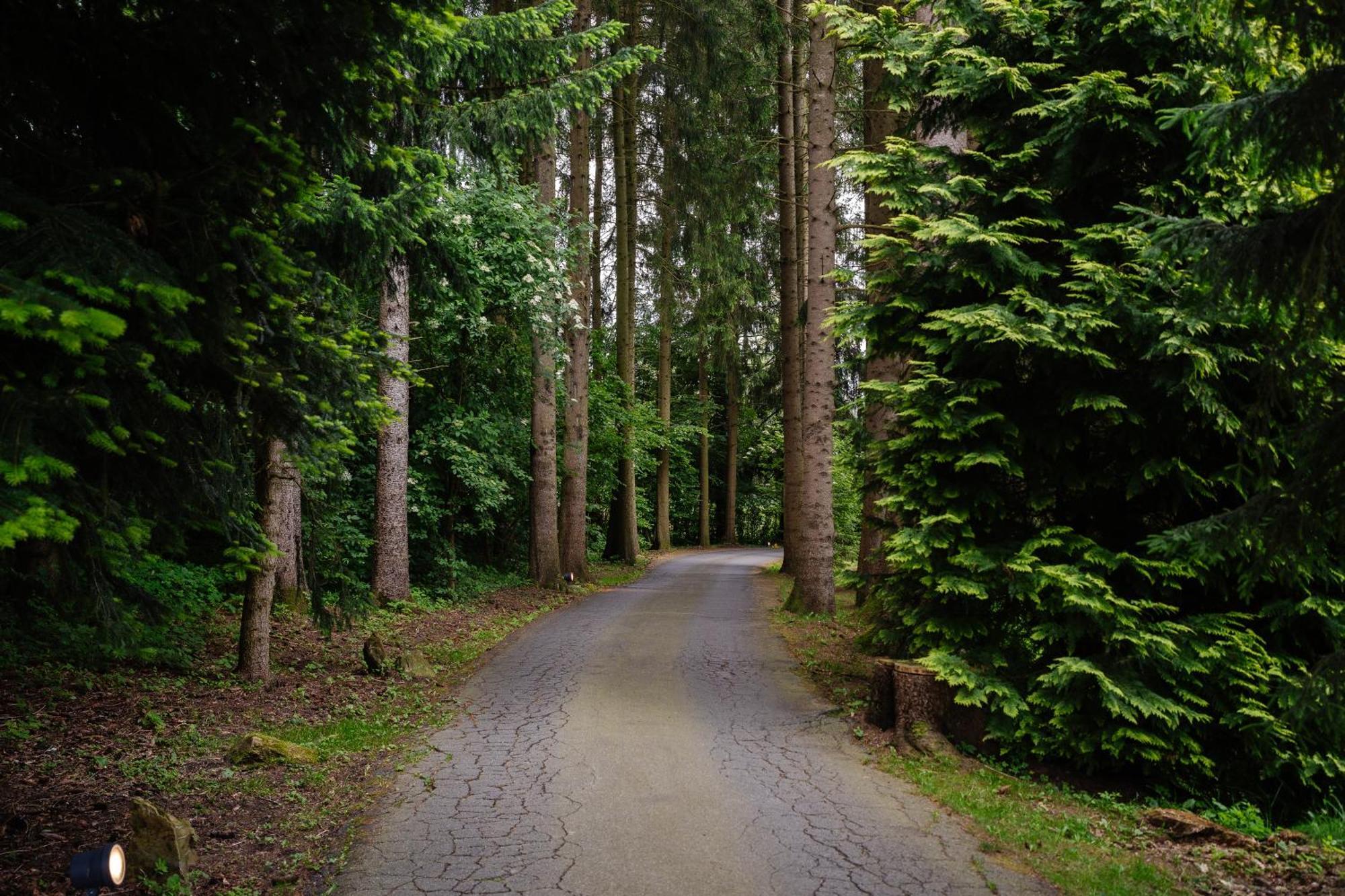 Hotel Steineweiher St. Vith Екстер'єр фото